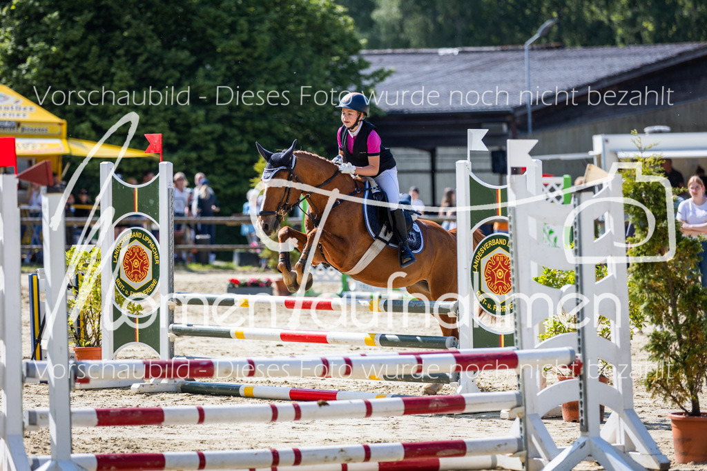 Donop24-ESpr-091 | MomenTaufnahmen Pferdesportfotos