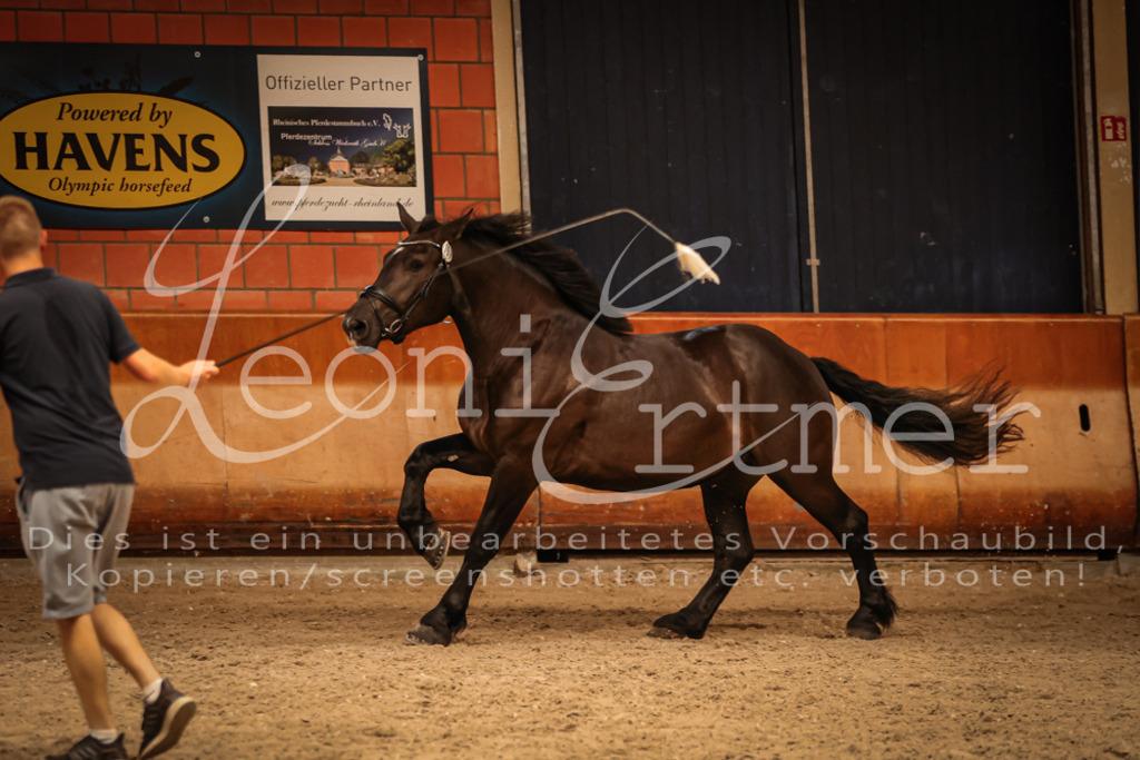 SaFL00396 | Leoni Ertmer Photography - Realisiert mit Pictrs.com