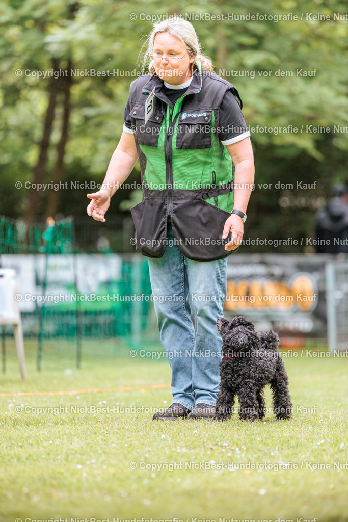 RO-Blumenthal-2026-Nickbest-Hundefotografie-3215 | Dein Hund! Dein Moment! Deine Erinnerungen! Hundefotografie in Bremen Blumenthal. Ich fange die besonderen Momente deines Vierbeiners ein – ob Indoor mit Blitzanlage oder in der freien Natur. Sicher dir dein Moment und dein Termin für eure Erinnerungen.