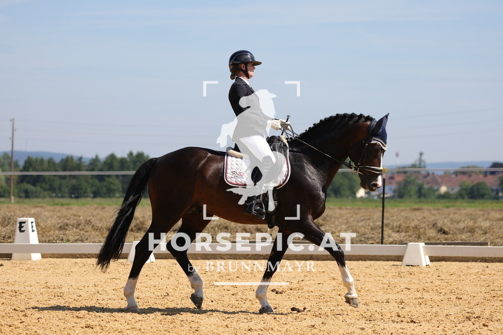 0P6A9655 | Willkommen bei Brunnmayr - Design & Fotografie – Ihrem Spezialisten für Reitturniere und Pferdeveranstaltungen in Oberösterreich, Salzburg und Bayern! Seit über 17 Jahren sind wir leidenschaftlich dabei.