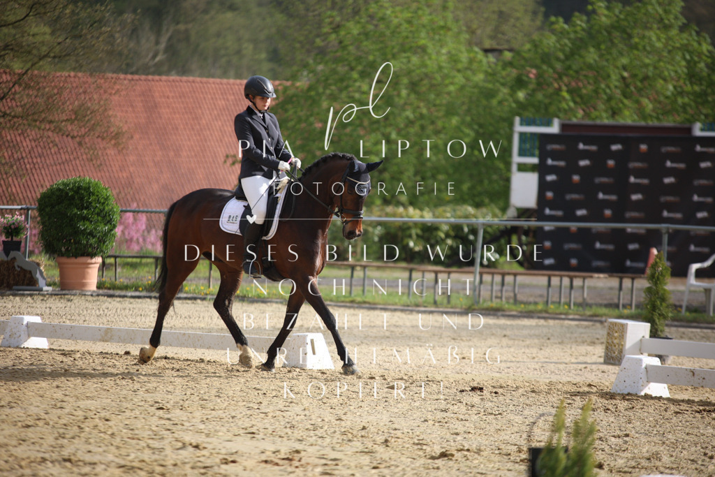 IMGT7185 | pl-fotografie