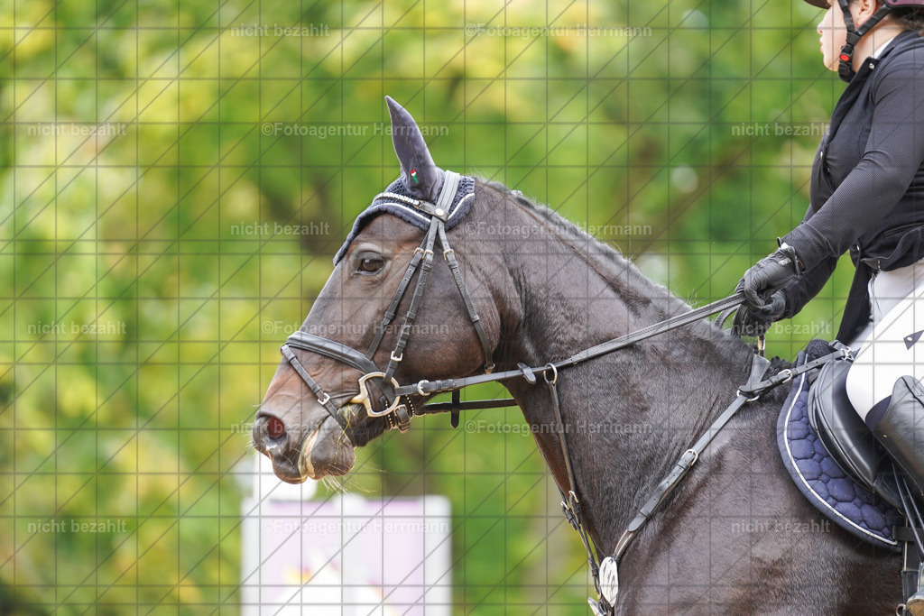 20221009-FAH08745 | Diessen am Ammersee, 2022, Dressur- und Springturnier, Reitsportbilder, Turnierfotografen Bayern, Pferdefotografen, Fotoagentur Herrmann, Turnierbilder