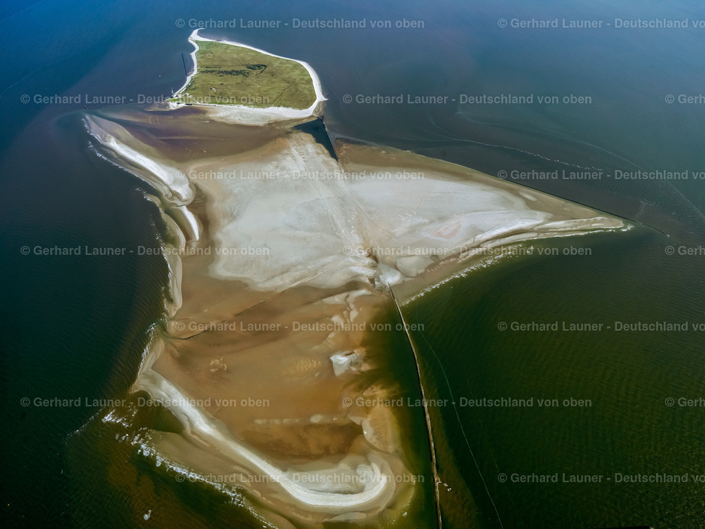 3091388 | Minseneroog, Nationalpark Niedersächsisches Wattenmeer