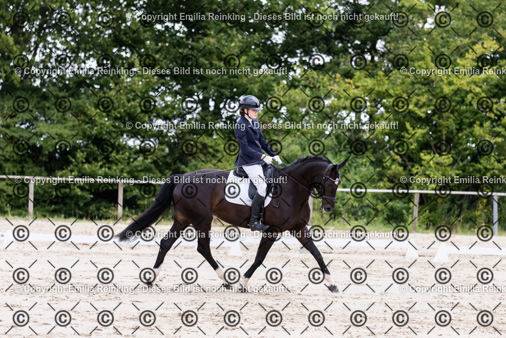 CL5A2024 | Emilia Reinking Fotografie - Realisiert mit Pictrs.com