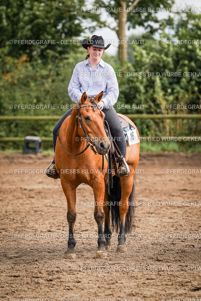 DSC09256 | Pferdegrafie