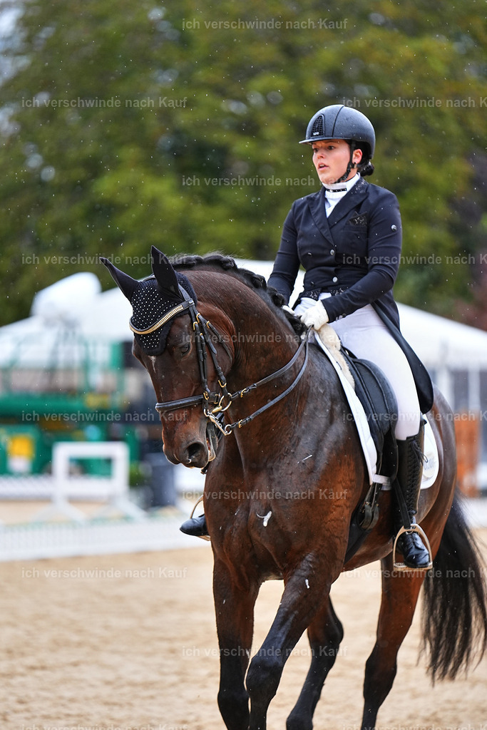8_1-206-Klasse S_  -Marixx-4259 | working equitationturnier fotograf videograf stoibphotography marixx film working equitation deutschland reitsport turnierfotografie eventfotografie equestrian events
