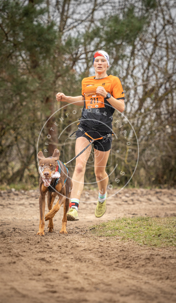 Pfotenfotografie_DV3A0254 | Hundefotografie, Tierfotograf, Pfotenfotografie, Fotoshooting Hund, Hunde Portrait, Hundesport, Hundeportraits, Heideshooting, Hunde, Sportfotograf, Hundefotograf, Turnierhundsport, THS,  - Realisiert mit Pictrs.com