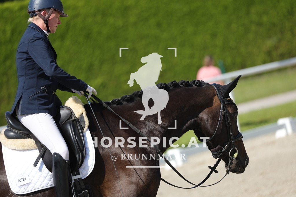 0P6A0474 | Willkommen bei Brunnmayr - Design & Fotografie – Ihrem Spezialisten für Reitturniere und Pferdeveranstaltungen in Oberösterreich, Salzburg und Bayern! Seit über 17 Jahren sind wir leidenschaftlich dabei.