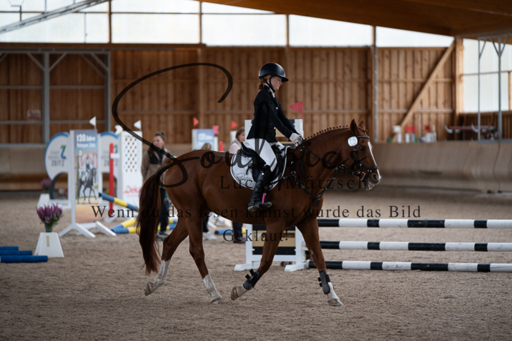 A7V02879 | Turnier/Reitfotograf