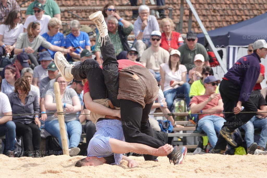 DSC03687 | Schwingen - Realisiert mit Pictrs.com