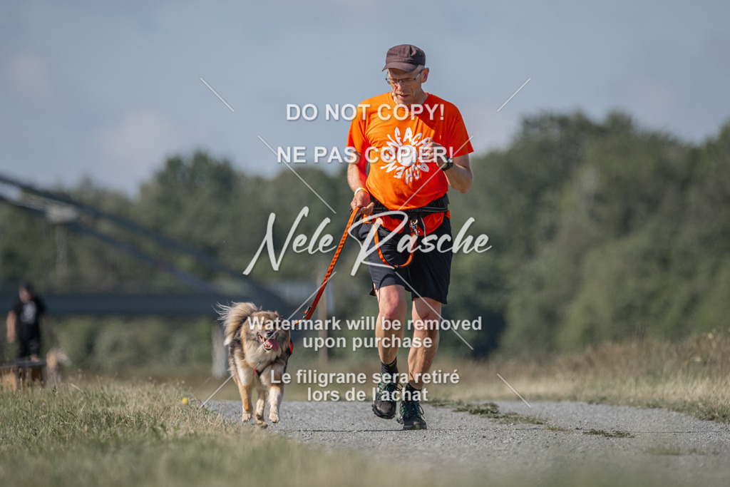 nelerasche_BuHu2026_SaCC09-10_34 | nelerasche