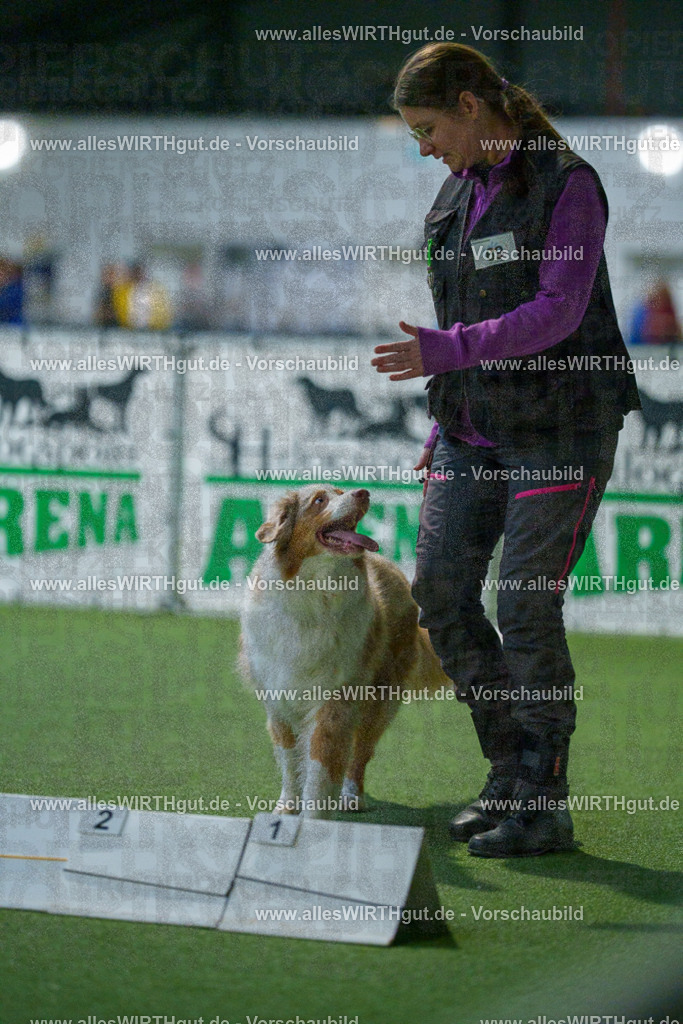 7R503852 | Professionelle Tierfotografie in Mönchengladbach von Daniel Wirth (allesWIRTHgut). Liebevolle & natürliche Bilder von Hunden & Katzen für unvergessliche Erinnerungen.