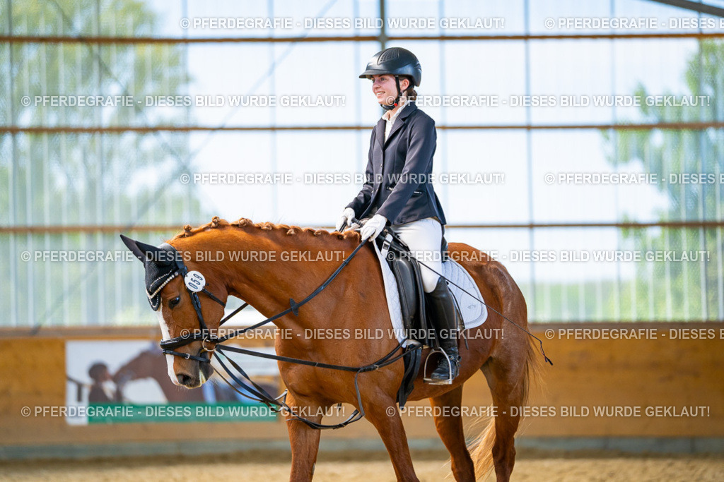 DSC09564 | Pferdegrafie