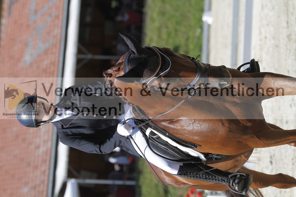 _MG_0149 | equestrian-live-com