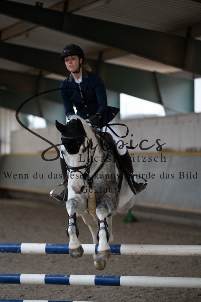 A7V07258 | Pferdefotograf