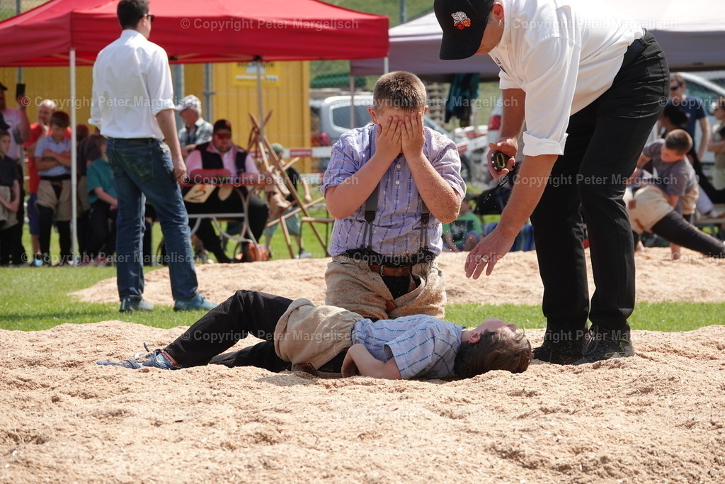 DSC04383 | Schwingen - Realisiert mit Pictrs.com