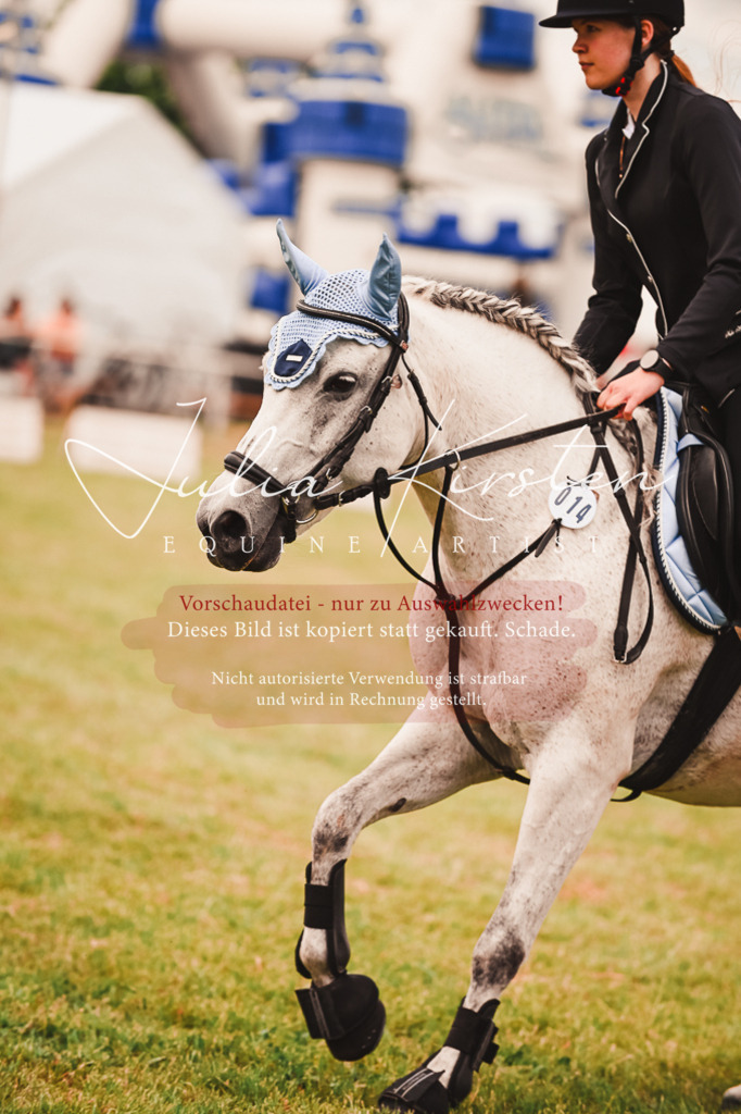 DSC_6952 | Pferde- und Turnierfotografie in Westsachsen. Pferdeportraits, Auftragszeichnungen und intuitive Kunst.