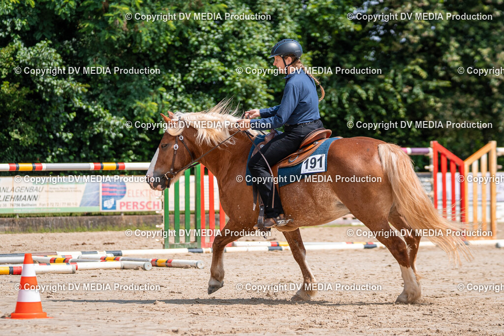 Zeiskam Tag 3-340 | dv-media-shop - Realisiert mit Pictrs.com