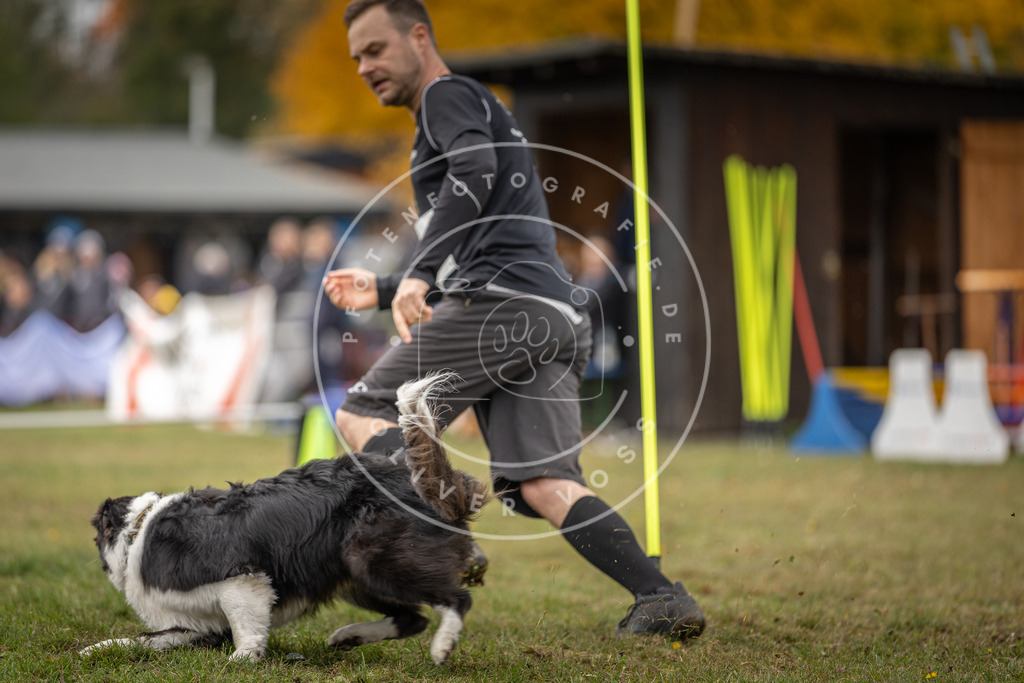 Pfotenfotografie_DV3A7955 | Hundefotografie, Tierfotograf, Pfotenfotografie, Fotoshooting Hund, Hunde Portrait, Hundesport, Hundeportraits, Heideshooting, Hunde, Sportfotograf, Hundefotograf, Turnierhundsport, THS,  - Realisiert mit Pictrs.com