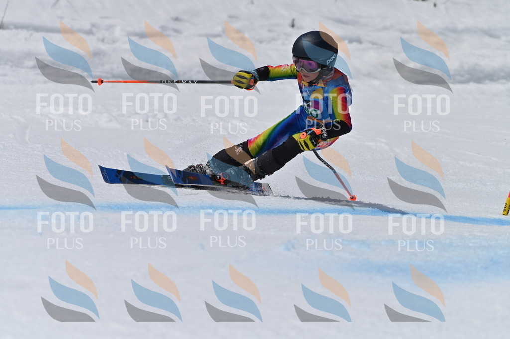 BGV_6765 | holidayphoto