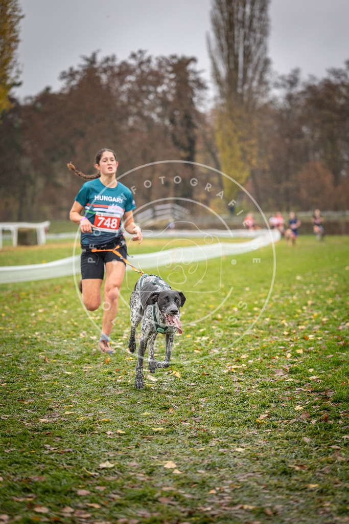CaniXpix_DV3A9193 | Hundefotografie, Tierfotograf, Pfotenfotografie, Fotoshooting Hund, Hunde Portrait, Hundesport, Hundeportraits, Heideshooting, Hunde, Sportfotograf, Hundefotograf, Turnierhundsport, THS,  - Realisiert mit Pictrs.com