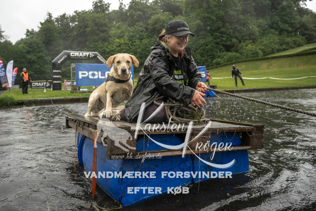 1335_ZZ99293 | kk-dogfotos