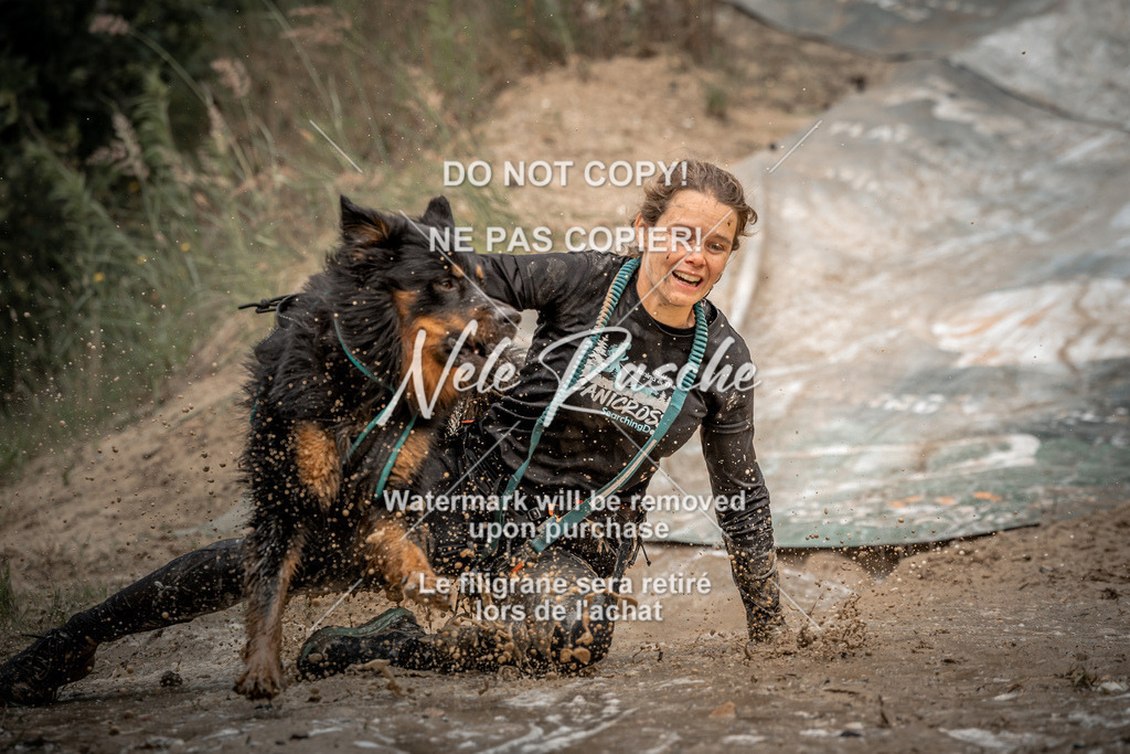nelerasche_sa1230-1300_133 | nelerasche