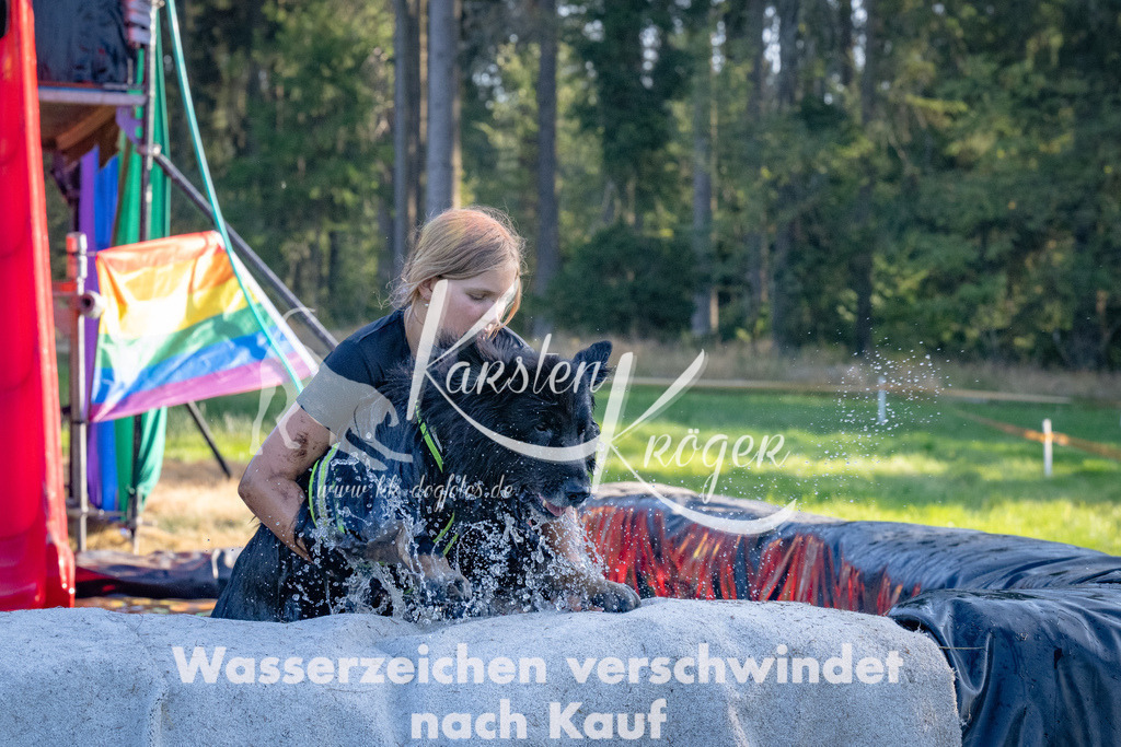 1742_ZZ91778 | kk-dogfotos