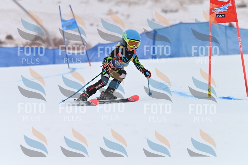 BGV_2120 | holidayphoto