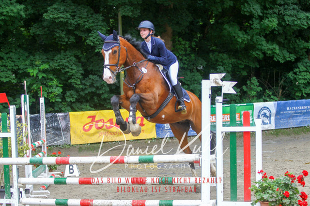 DKP44937 | Turniersportfotografie; Pferdefotografie; Dressurfotografie