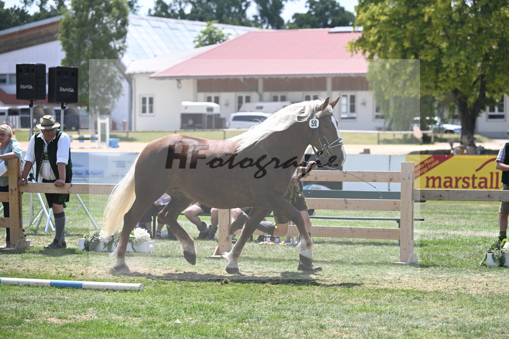 Kat-Nr. 59 Pamina_Mayr_20230973 | hf-fotografie - Realisiert mit Pictrs.com