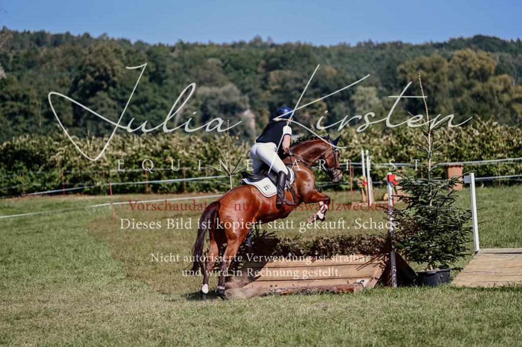 DSC_2634 | Pferde- und Turnierfotografie in Westsachsen. Pferdeportraits, Auftragszeichnungen und intuitive Kunst.