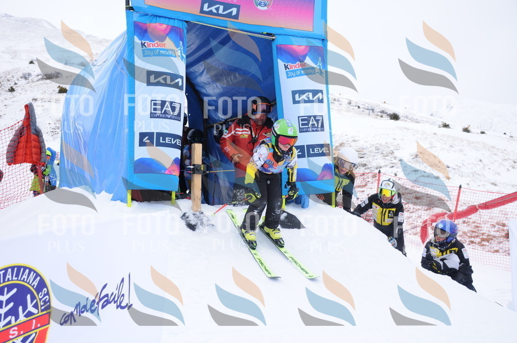 DSC_8931 | holidayphoto