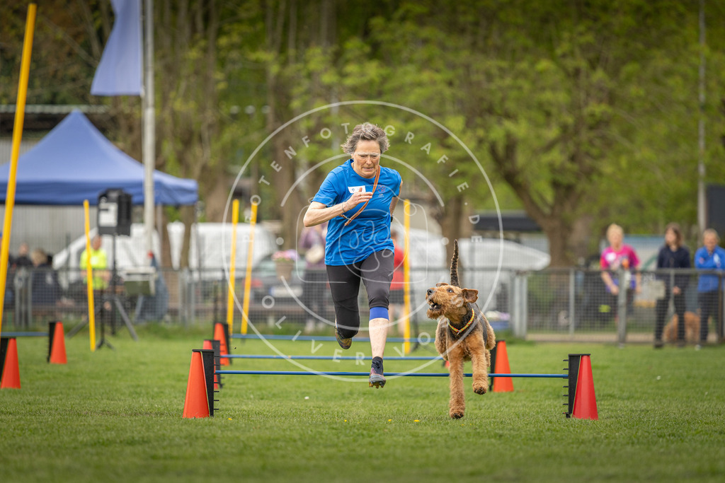 Pfotenfotografie_DV3A8407 | Hundefotografie, Tierfotograf, Pfotenfotografie, Fotoshooting Hund, Hunde Portrait, Hundesport, Hundeportraits, Heideshooting, Hunde, Sportfotograf, Hundefotograf, Turnierhundsport, THS,  - Realisiert mit Pictrs.com