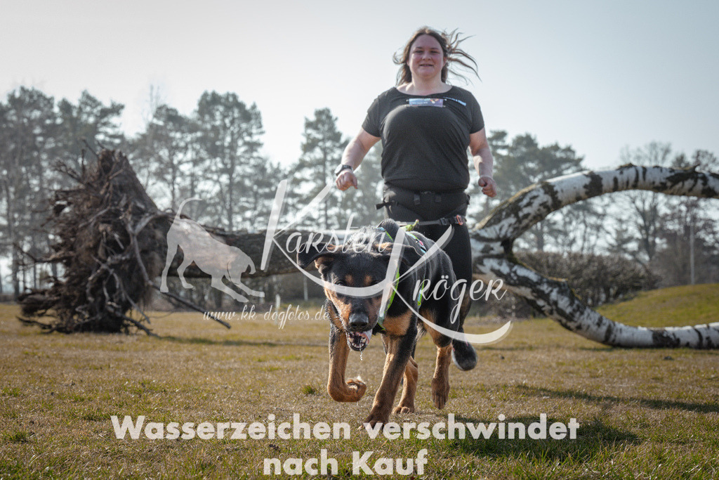 1106_ZZ94608 | kk-dogfotos