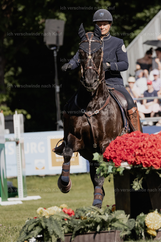 WE_MOS_Stoib_315_PI2025_2332 | Pferd International München 2025