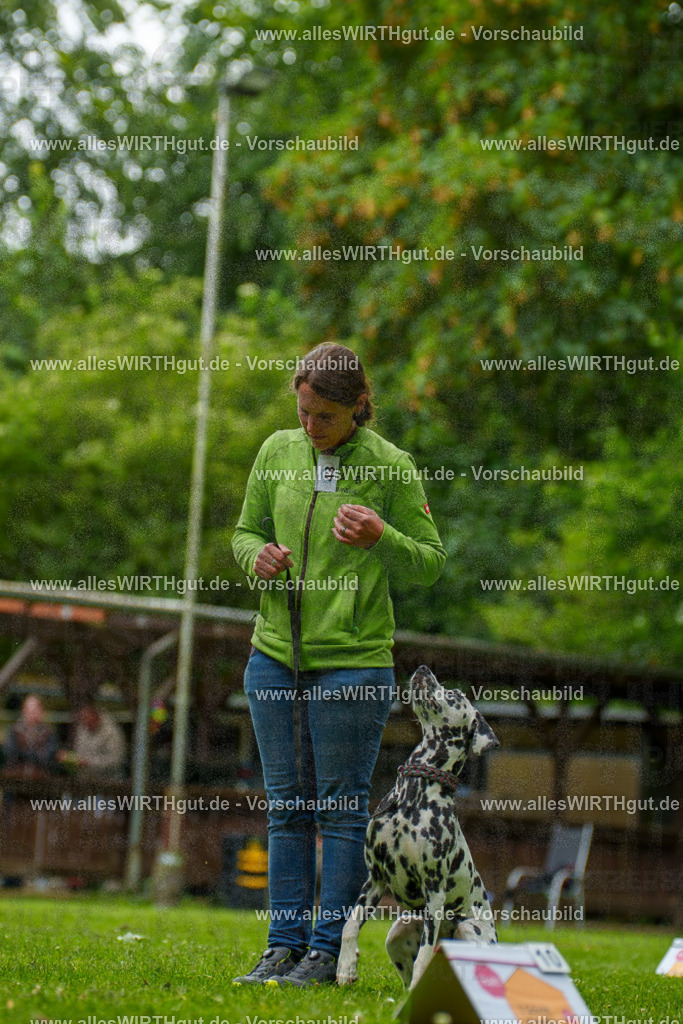 @allesWIRTHgut_Tierfotografie - www.allesWIRTHgut.de - 135253-7R500129 | Professionelle Tierfotografie in Mönchengladbach von Daniel Wirth (allesWIRTHgut). Liebevolle & natürliche Bilder von Hunden & Katzen für unvergessliche Erinnerungen.