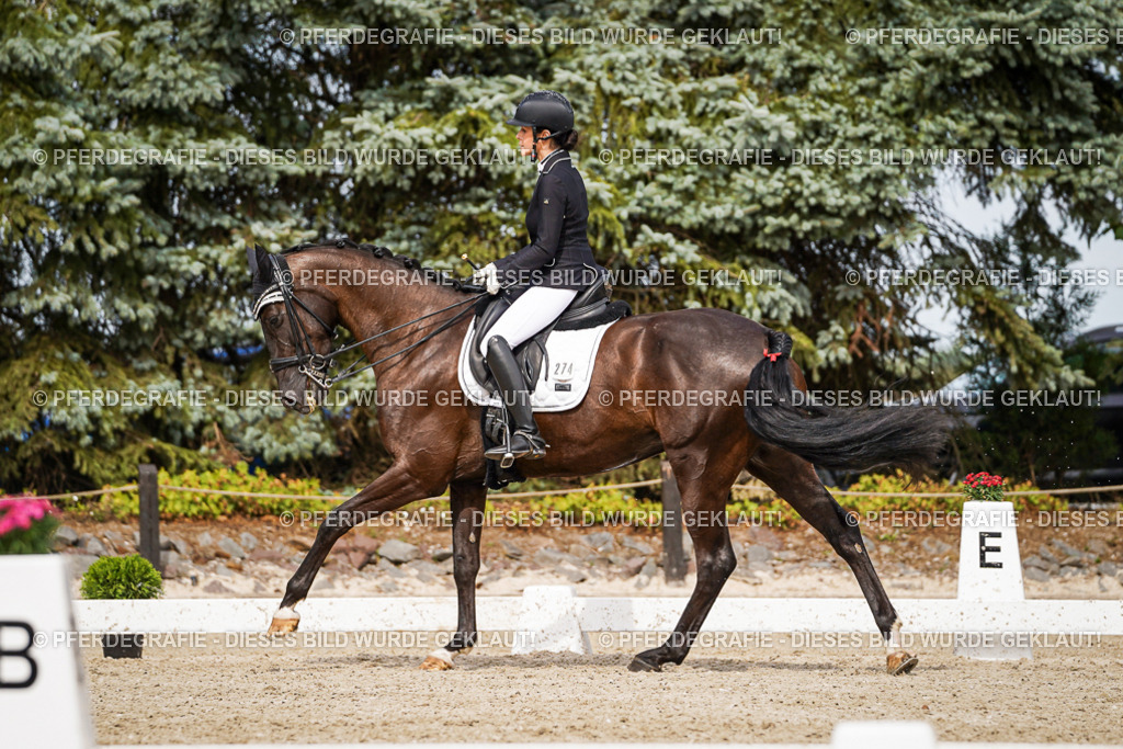 DSC06270 | Pferdegrafie