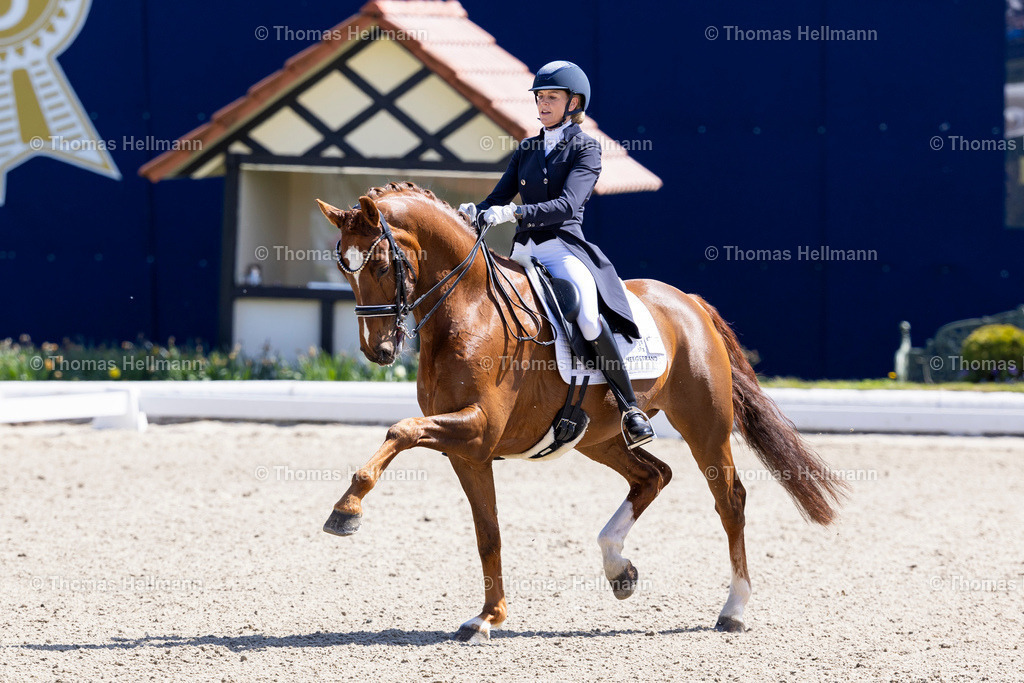 TH_383-HELGSTRAND Marianne (DEN)_ Valerio 42_36581 | Horses &amp; Dreams 2026 am 26.04.26 in Hagen a.T.W., Thomas Hellmann, 383HELGSTRAND Marianne (DEN), Valerio 42
