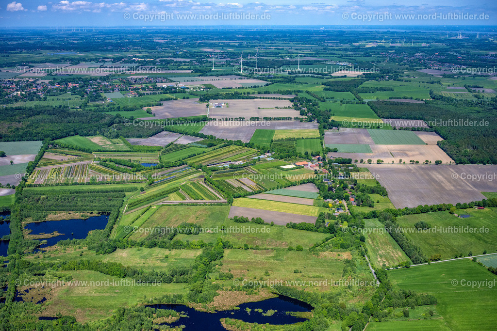 Oldendorf_Tannenhof_Uhlendorf_ELS_8332280523 | OLDENDORF 28.05.2023 Baumreihen auf Feldern " Tannenhof " in Oldendorf im Bundesland Niedersachsen, Deutschland. // Row of trees on fields " Tannenhof " in Oldendorf in the state Lower Saxony, Germany. Foto: Martin Elsen