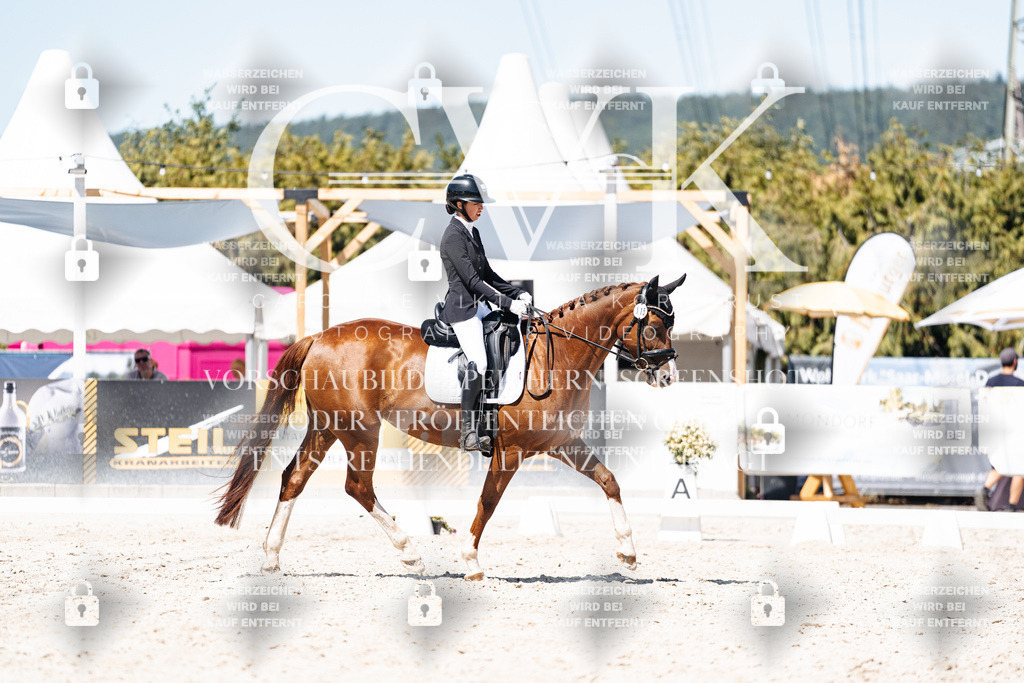 CK900521 | Turnierfotografie Pferdefotografie Trier Rheinland-Pfalz Pferdesport Reitsport Tierfotografie Sportfotografie Pferdevideo Pferdevideografie Equestrianvideography equestrianphotography  - Realisiert mit Pictrs.com