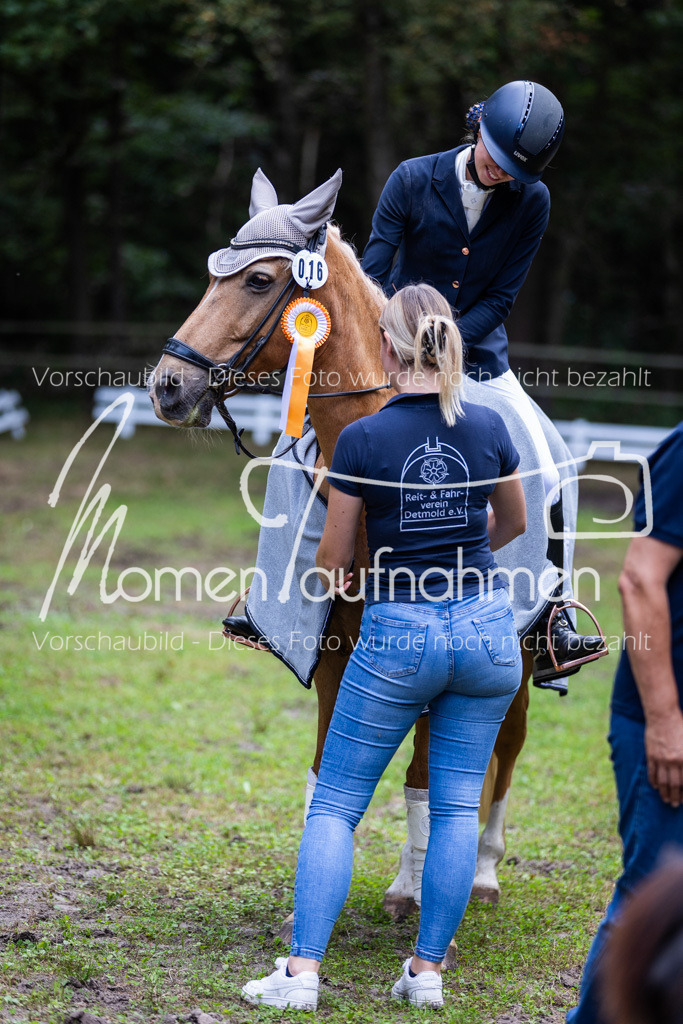 HB-A-Dressur-170 | MomenTaufnahmen Pferdesportfotos