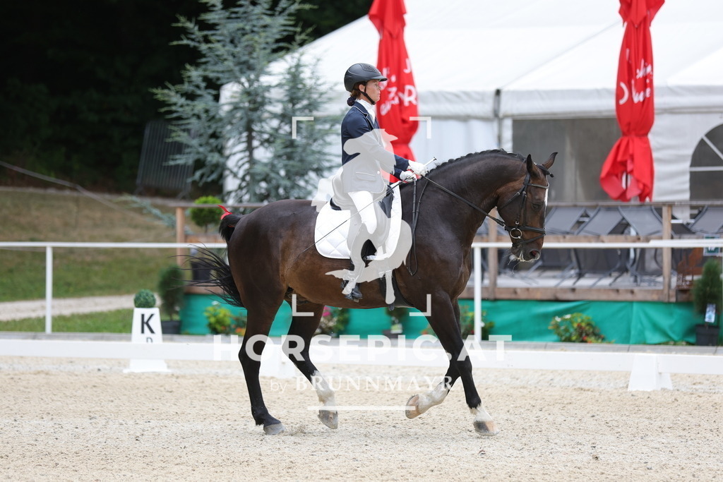 0P6A4567 | Willkommen bei Brunnmayr - Design & Fotografie – Ihrem Spezialisten für Reitturniere und Pferdeveranstaltungen in Oberösterreich, Salzburg und Bayern! Seit über 17 Jahren sind wir leidenschaftlich dabei.
