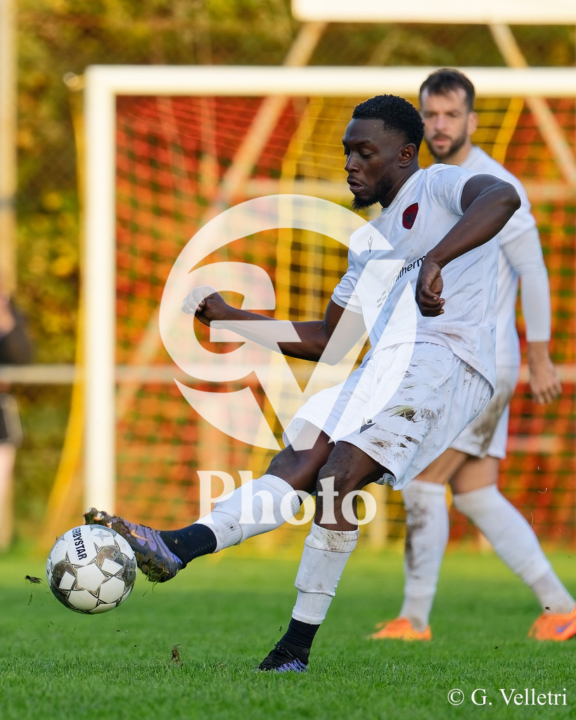 DZ9_1599 | Velletri Photo