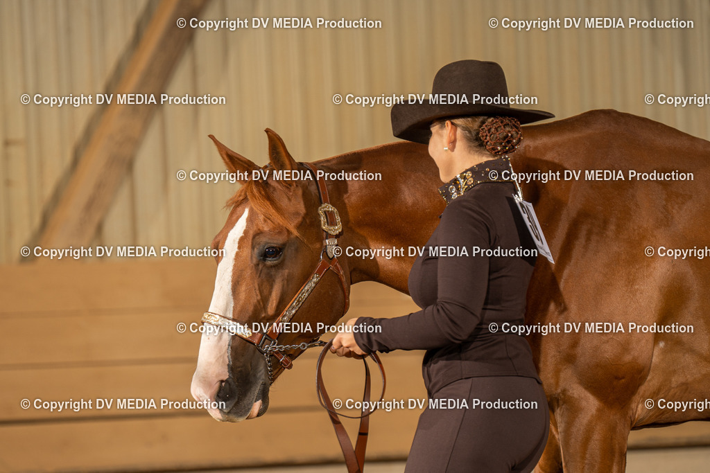 NID02397 | dv-media-shop - Realisiert mit Pictrs.com