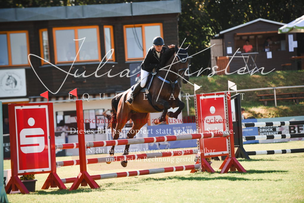 DSC_2400 | Pferde- und Turnierfotografie in Westsachsen. Pferdeportraits, Auftragszeichnungen und intuitive Kunst.