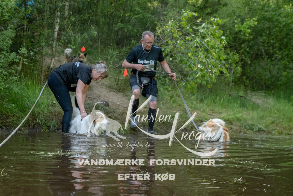 1748DKK992767 | kk-dogfotos