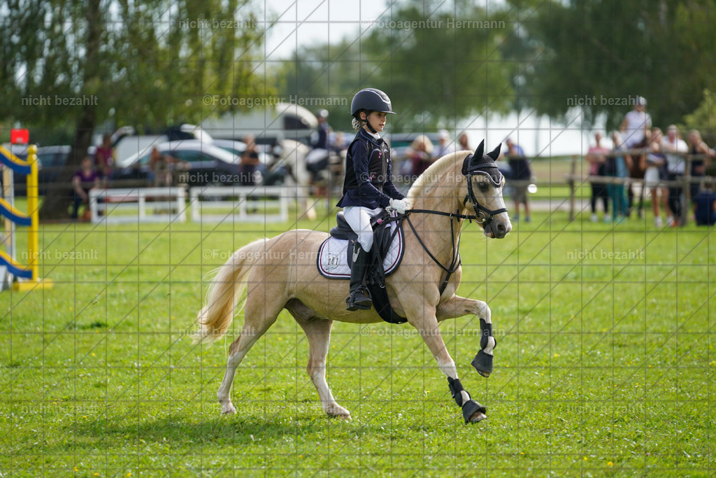 20230917-FAH09145 | Landsberg am Lech, 2023, Kaufbeuren, Kempten, Allgäu, Turnierfotografen Bayern, Fotoagentur Herrmann, Turnierbilder, Reitsport Fotos, Pferdefotograf, Augsburg, Bad Tölz, Dachau, Karlsfeld, Memmingen, Buchloe, Schwabmünchen