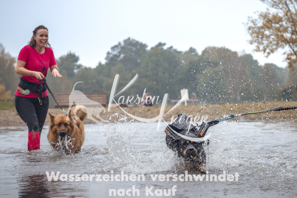 1025_ZZ99549 | kk-dogfotos