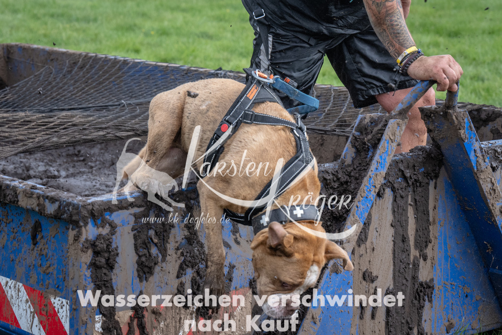 1419_ZZ91967 | kk-dogfotos